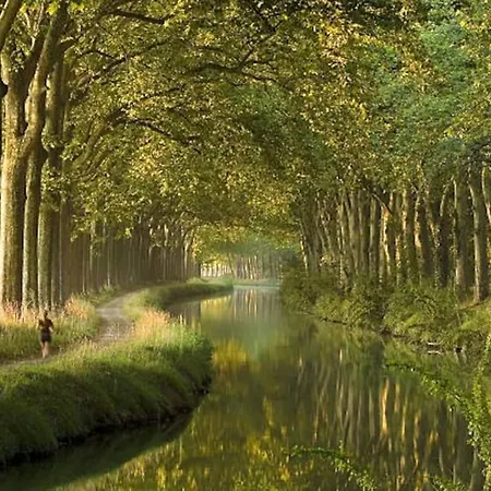 아파트 *grand T3*lumineux*vue*parking* 툴루즈